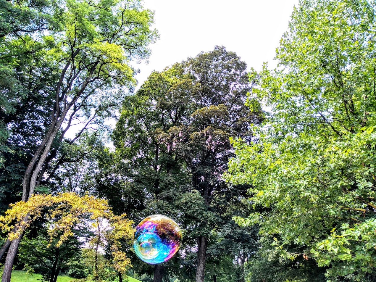 Bolha de sabão diante de árvores em um parque
